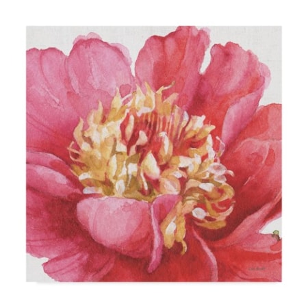 Trademark Fine Art Lisa Audit 'Pink Garden V' Canvas Art, 14x14 WAP07706-C1414GG
